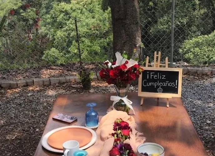 Glamping Sin Salir De La Cdmx Campsite