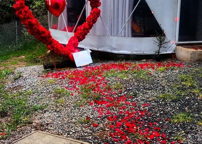 Glamping Sin Salir De La Cdmx *