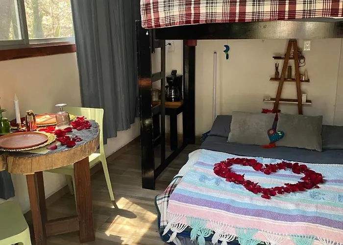 Campsite Glamping Sin Salir De La Cdmx Mexico City