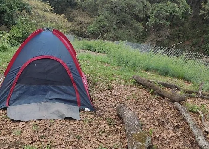Glamping Sin Salir De La Cdmx *