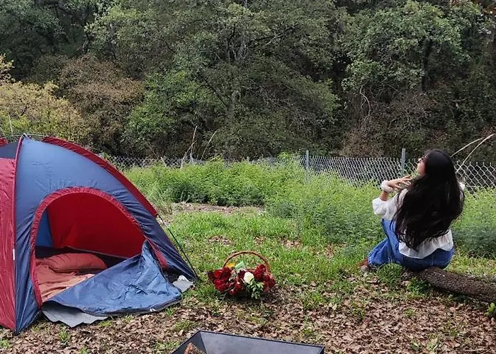 Glamping Sin Salir De La Cdmx Campsite